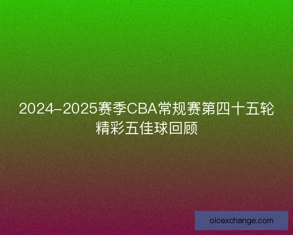 2024-2025赛季CBA常规赛第四十五轮精彩五佳球回顾
