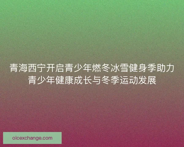 青海西宁开启青少年燃冬冰雪健身季助力青少年健康成长与冬季运动发展