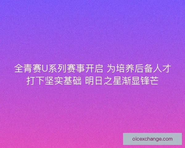 全青赛U系列赛事开启 为培养后备人才打下坚实基础 明日之星渐显锋芒